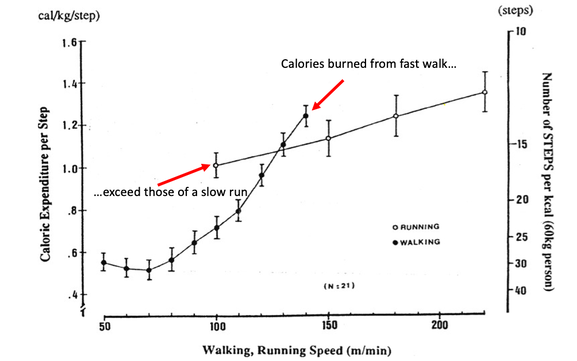 DEXA-and-10000-steps-walking-speed