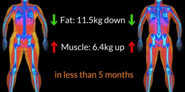 body composition results