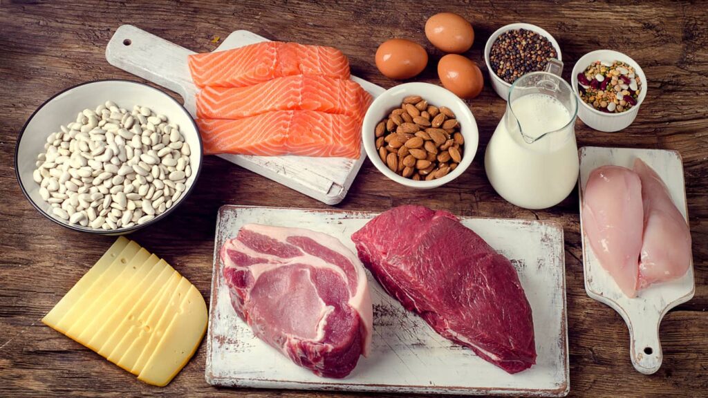 protein sources for building muscle